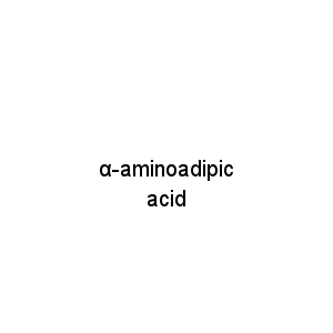 α-aminoadipic acid